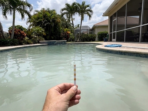 Is Your Pool Water in Wellington Starting to Look Cloudy?
