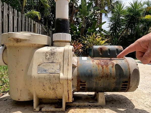 Is Your Pool Pump in Wellington Making Unusual Noises?