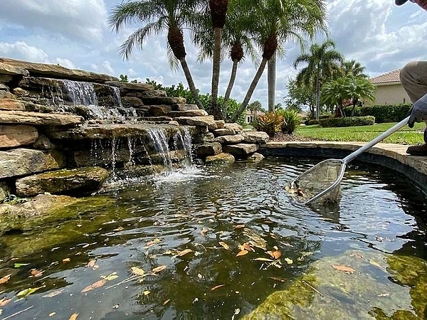 Are Water Features in Wellington Hard to Maintain?